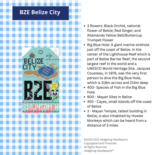 Retro Travel Tag · Belize City