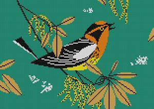 Blackburnian Warbler