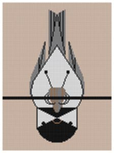 Chickadee Calisthenisces