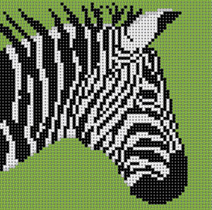 Zebra on Green