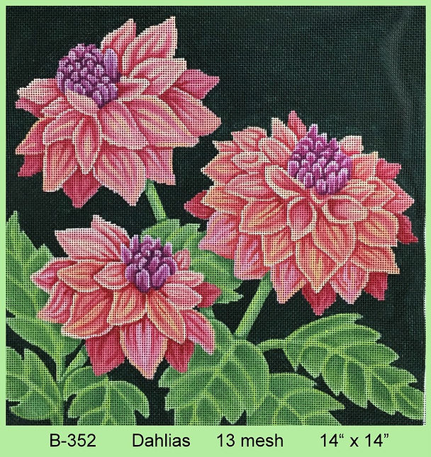 Dahlias - 13 Mesh