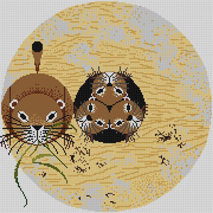Prairie Dogs