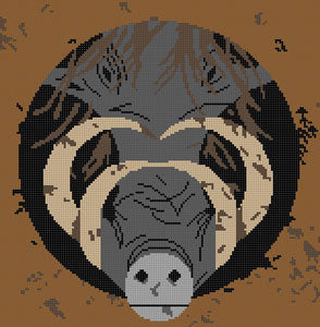 Warthog