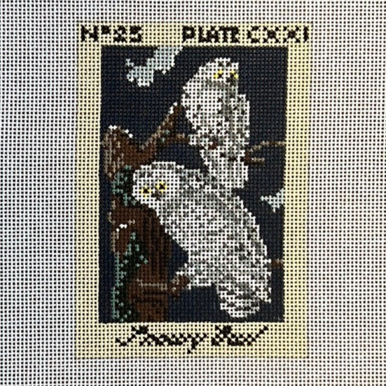 Kate Woodward ·  Audubon Snowy Owl