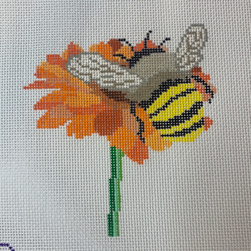 Bumble Bee - Orange Gerber Daisy