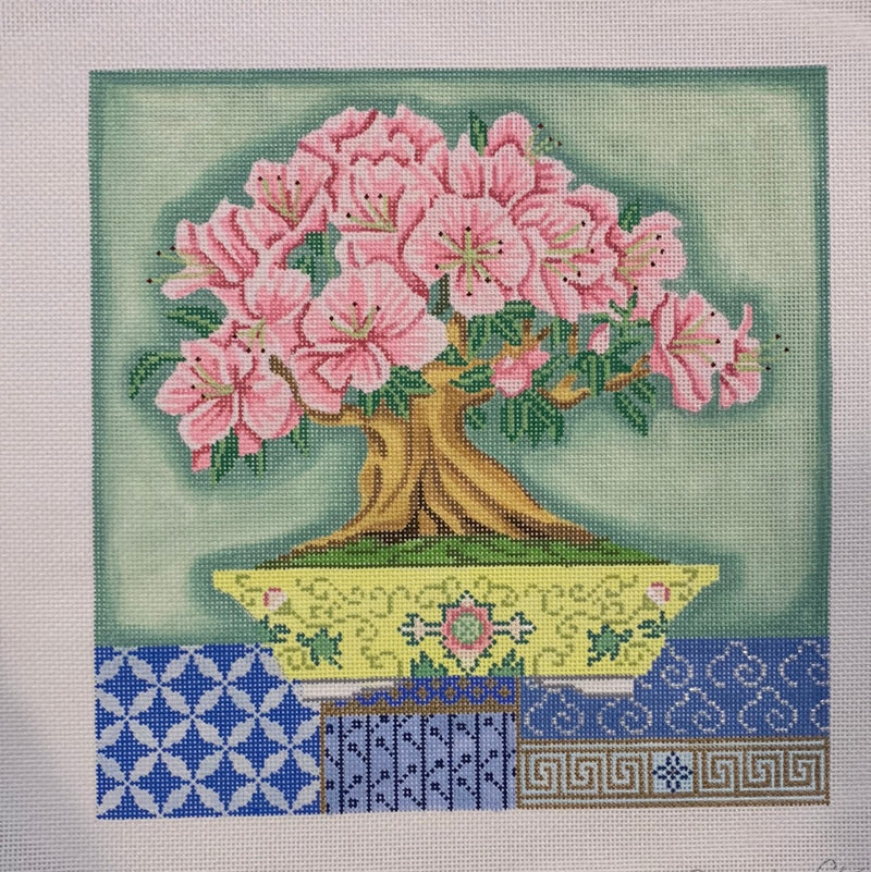 Azalea Bonsai - 13 Mesh