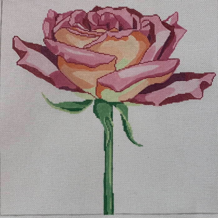 Regal Pink Rose