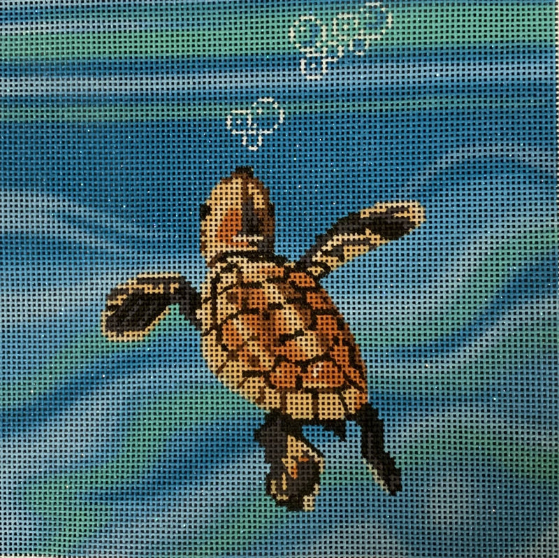 Baby Sea Turtle Swimming