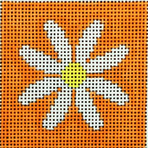 Daisy on Tangerine 2.25 x 2.25
