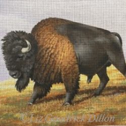 Buffalo