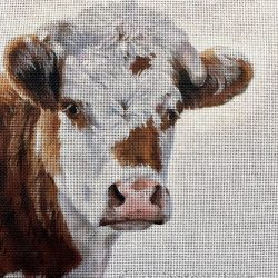 Cow Portrait