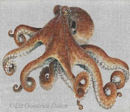 Octopus