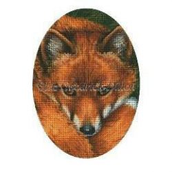 Red Fox Face