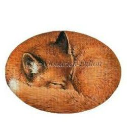 Sleeping Fox
