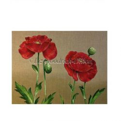 Two Red Poppies