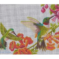 Hummingbirds in Floral Vines