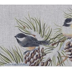 Chickadees In Winter Pine