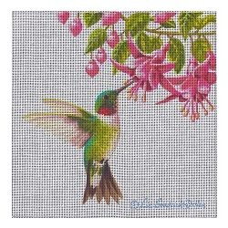 Hummingbird In Fuchsia