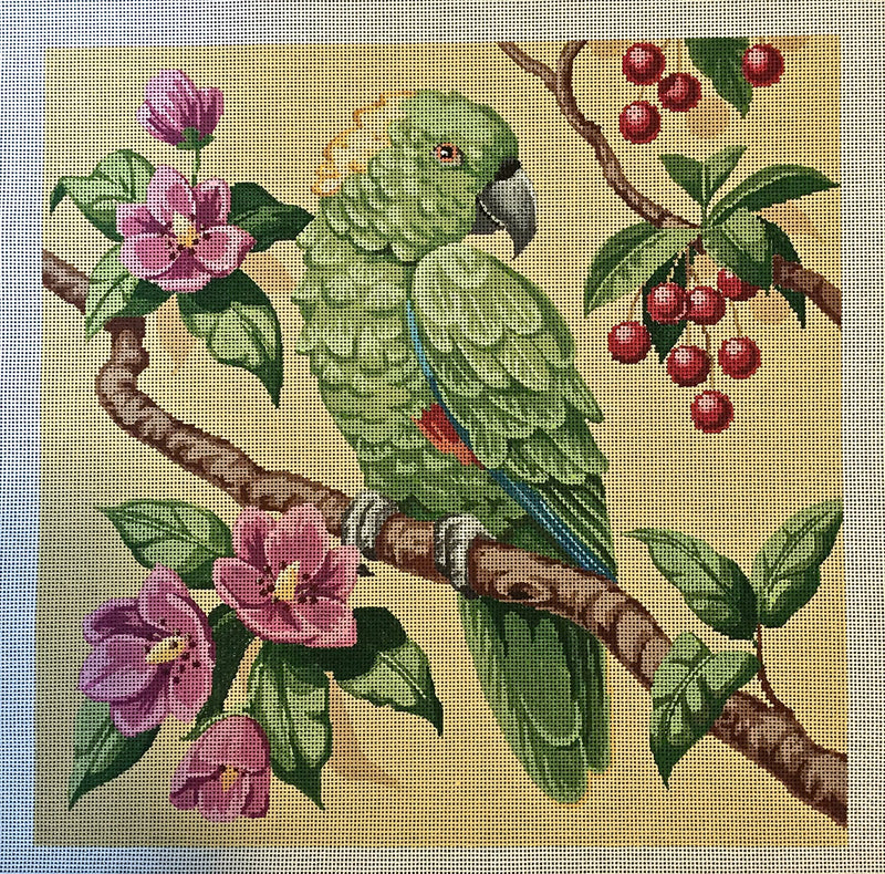 Green Parrot on 13 Mesh