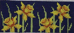 Daffodil Checkbook (13m)