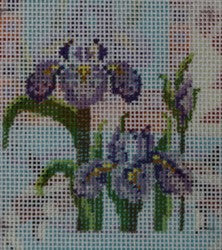 3 Irises  (18m)