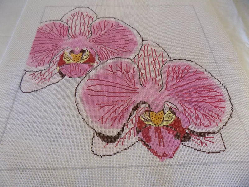 Two Pink Orchids