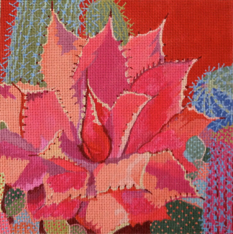 Sharon Weiser · Desert Agave