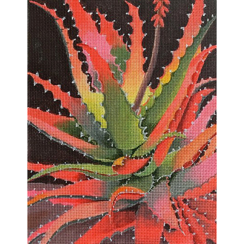 Sharon Weiser · Sunset Agave