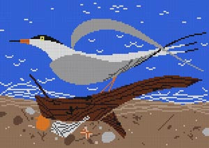 Tern Scape