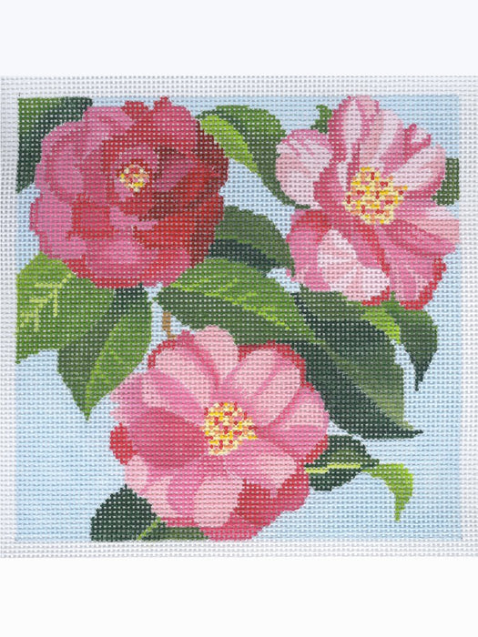 Squares - Camellia