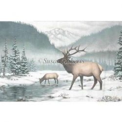 Elk In The Snow