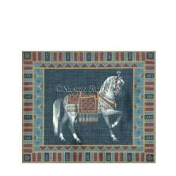 Arabian Horse Portrait (13m)