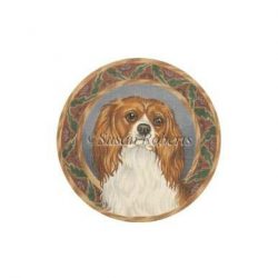 King Charles Spaniel (13m)