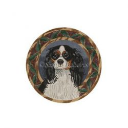 King Charles Spaniel, Tri-Color (13m)