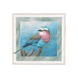 Lilac Breasted Roller Bird