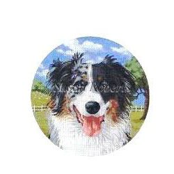 Australian Shepherd