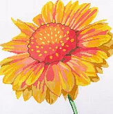14" Simple Flowers - Blanket Flower
