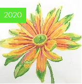 14" Simple Flowers - Tropical Daisy