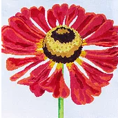 14" Simple Flowers - Pincushion Daisy