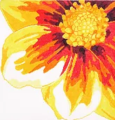 Large Dazzle Flowers