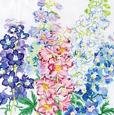 Summer Delphiniums