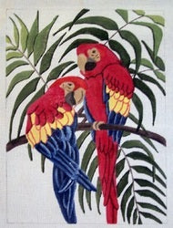 Two Macaws in Palm Tree