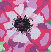 Large Anenome