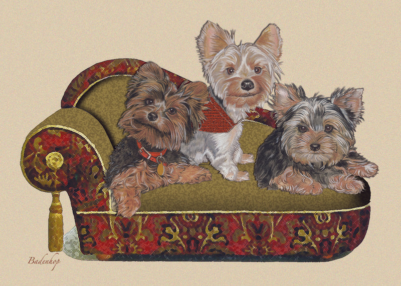 Three Little Yorkies