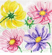 Small Cosmos Beauties #1