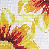 Small Double Delights Sun Glow