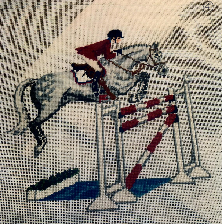 Show Jumper over Liverpool