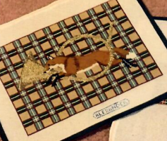 Plaid - Fox Jumping through Horn