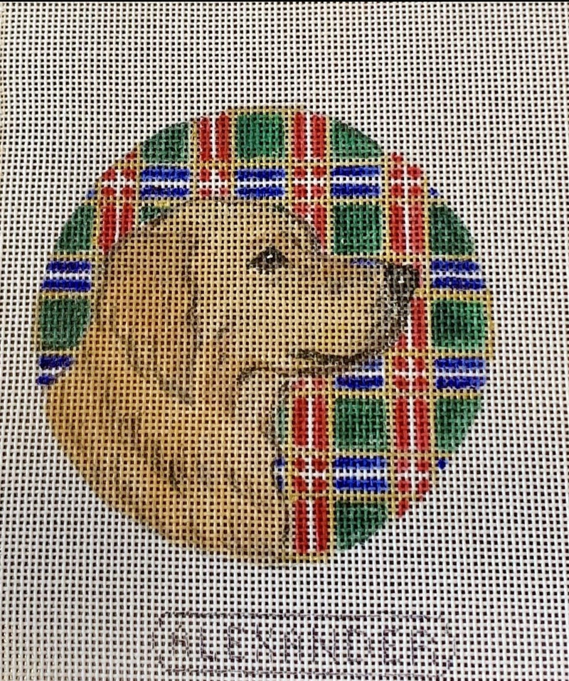 Golden Retreiver w/ Plaid Background