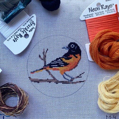 Bird Rounds - Baltimore Oriole